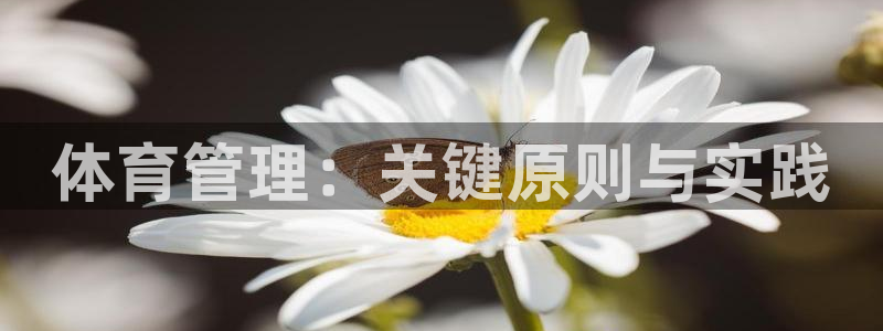 必一体育app下载安