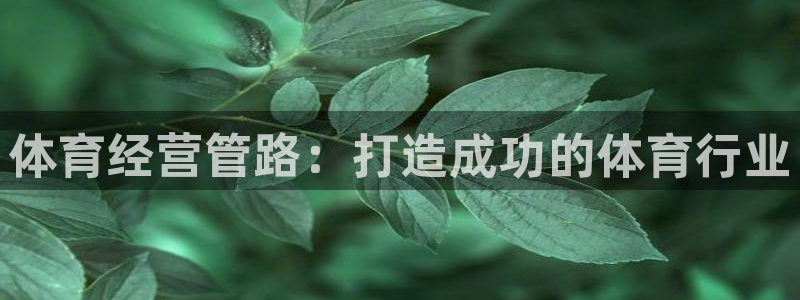 必一运动·(B-Sp