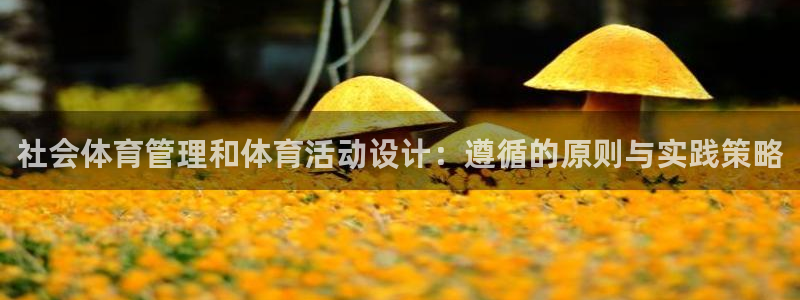 必一运动·(b-sp