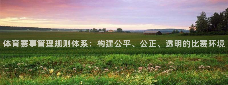 必一运动听的歌：体育
