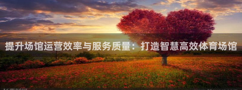 必一体育没了：提升场