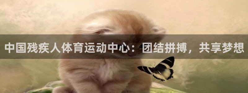 必一运动验证码：中国残疾人体育运动中心：团结拼搏，共享梦想