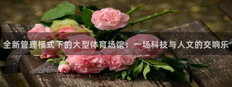 必一体育服下载最新版