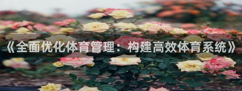 必一体育官网入口：《