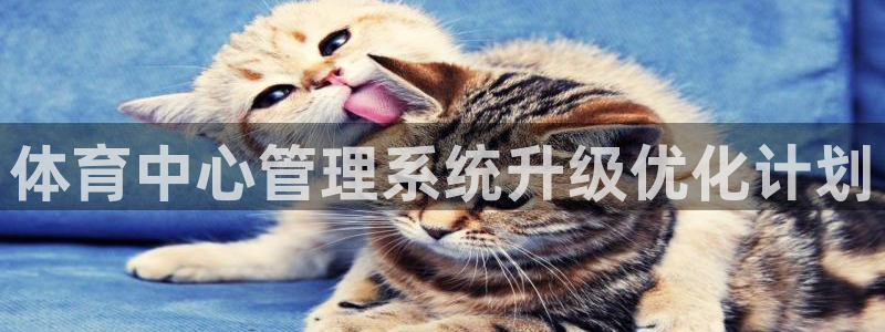 必一体育app下载安
