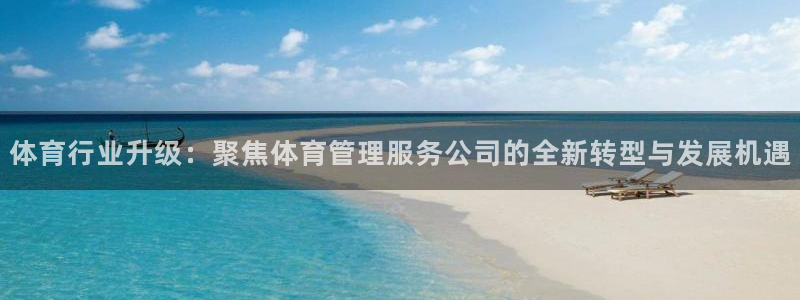 必一体育手机下载：体育行业升级：聚焦体育管理服务公司的全新转
