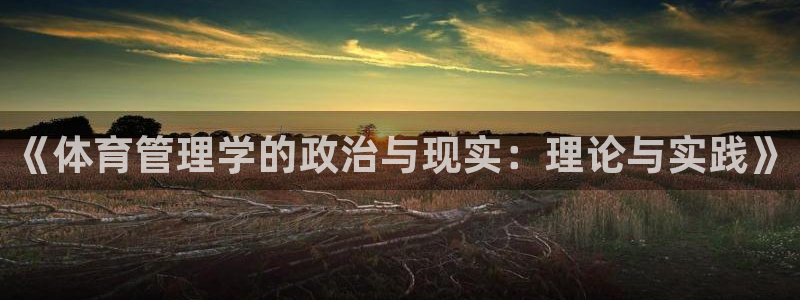 Bsport体育app必一：《体育管理学的政治与现实：理论与