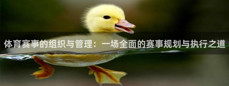 必一运动sport网页版：体育赛事的组织与管理：一场全面的赛