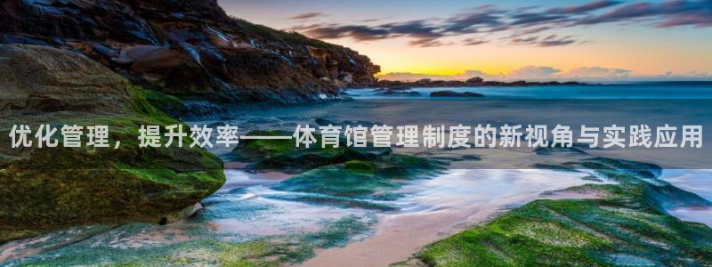 b体育必一下载：优化