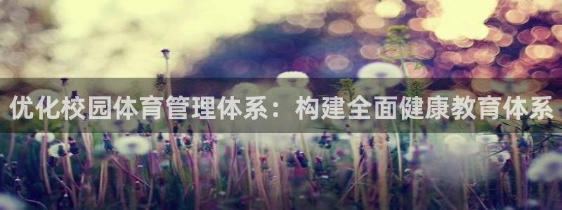 必一体育app官方正