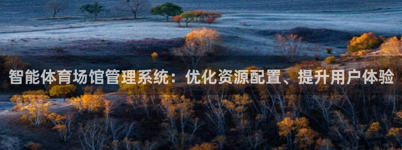 必一体育网站：智能体