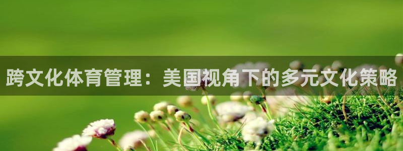 必一体育网站：跨文化