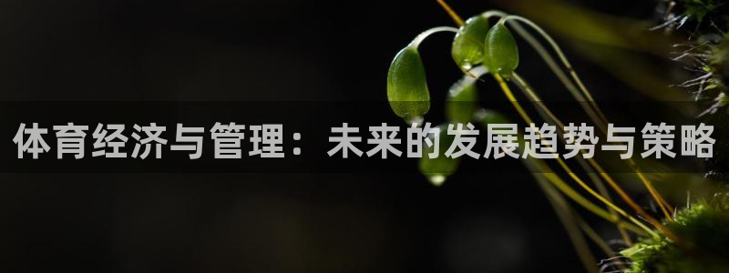 必一运动B-Sport官方网站入口：体育经济与管理：未来的发