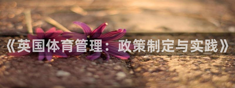 必一运动·(B-Sports)：《英国体育管理：政策制定与实