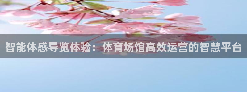 必一体育app平台下载：智能体感导览体验：体育场馆高效运营的