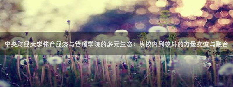 必一运动B-Sport官方网站入口：中央财经大学体育经济与管