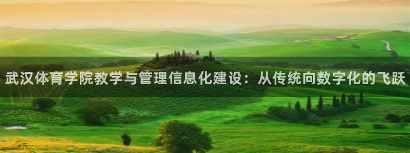 必一体育运动官网：武汉体育学院教学与管理信息化建设：从传统向