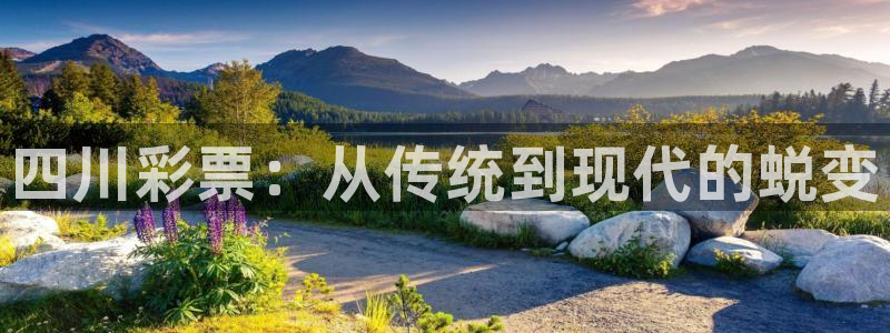 必一体育是哪里的台子
