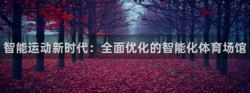 b体育必一运动网页版